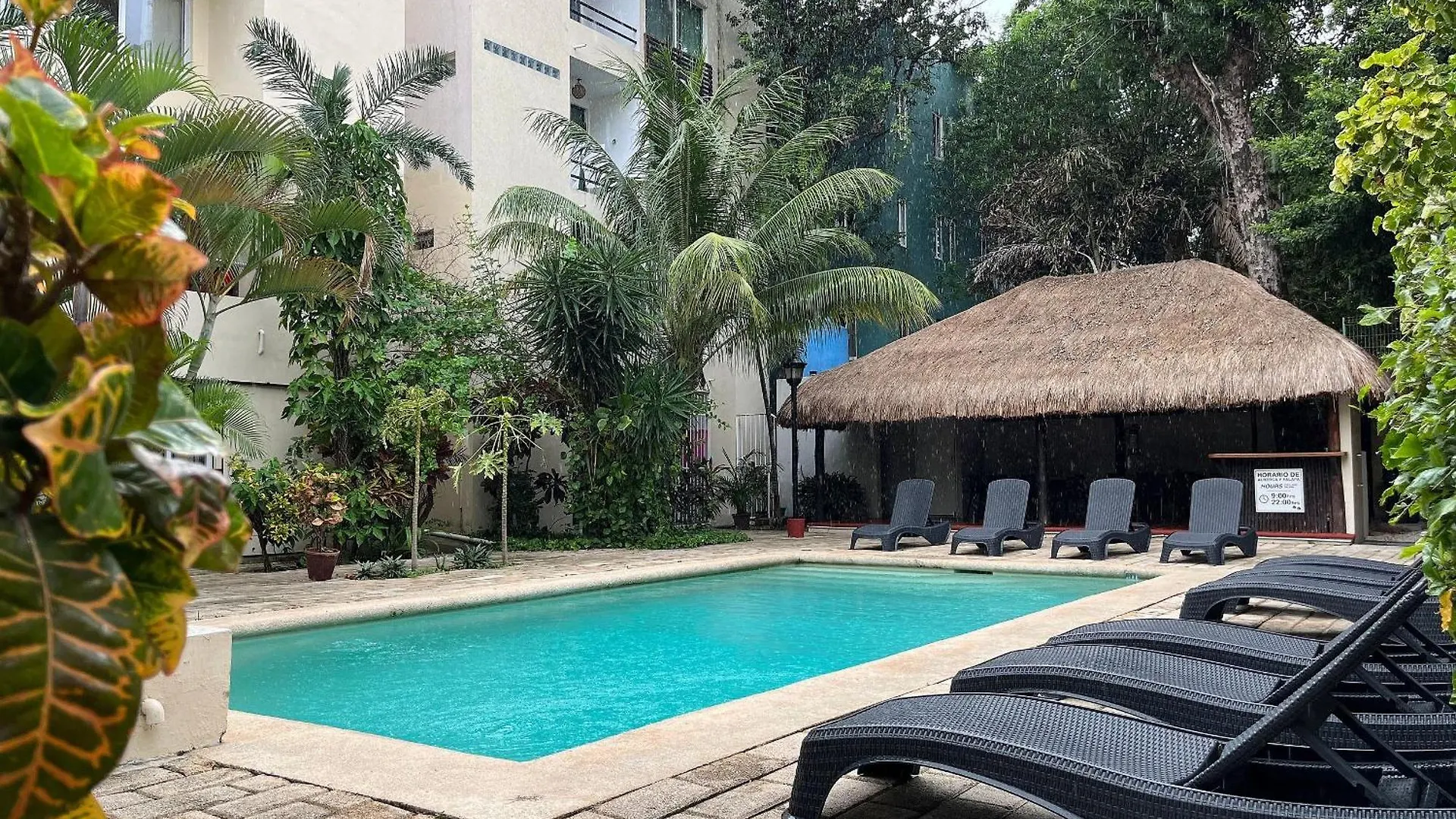Apartamento Homely And Comfortable Studio 3 Blocks To 5Th Av Playa del Carmen México
